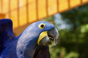 【疫情实时动态uc,新冠肺炎疫情实时动态】