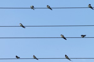 重大通报.“麦穗二八杠能不能开挂,有什么辅助功能”(原来真的可以开挂)