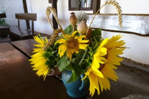 ［揭秘］“新九方炸/金/花真的有挂吗”［其实是有挂］