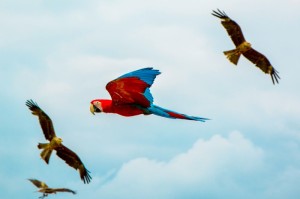 知识科普“同城乐吧510k开挂软件”教你装挂教程