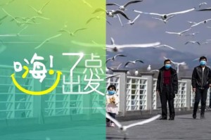 [实测]“陕麻圈怎么开挂”有挂详细开挂教程