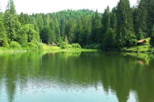 ［科普］“心悦麻将有挂吗”［外卦神器下载］