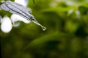 ［最新分享］“功夫熊猫金花到底有挂吗”［外卦神器下载］