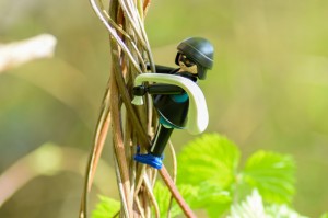 科普实测“乐酷大厅透视挂辅助安装”开挂详细方法