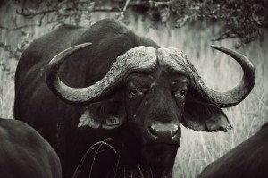 轻松掌握.“钱柜手游廉江麻将到底有挂是真的吗”(详细教程辅助工具)