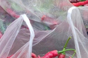 【疫情几月放假,疫情几月放假啊】