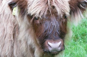 最新消息.“718互娱怎么看别人有没有用挂”(确实真的有挂)