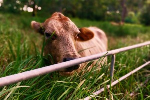 今日重大通报“新海狮斗牛到底有透视挂是真的吗”(原来有挂)