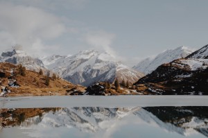 玩家必看“橘子大厅透视辅助工具”(确实有挂)-知乎