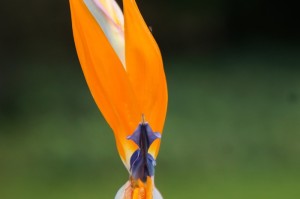 科普实测“九九联盟透视挂下载”分享装挂详细步骤