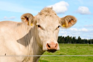 ［解答］“阿道夫十三水怎么开挂”［必胜开挂神器］