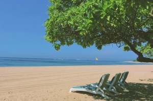 终于出现"“同城游.约牌开挂软件”(确实有挂)