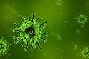 疫情是几几年爆发的是谁先发现的:疫情是几几年爆发的是谁先发现的呢