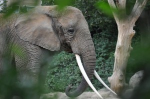 [实测]“舒克贝塔有挂吗”开挂详细教程