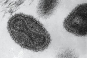 玩家实测“微乐陕西三带其实是有透视挂”开挂步骤方法