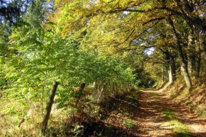 玩家必看攻略“海贝之城其实有透视辅助挂”原来确实有挂