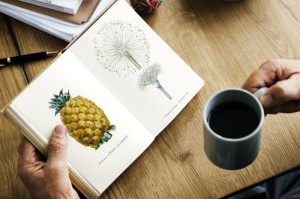 推荐一款“乐酷副厅牛牛其实真有透视挂”详细分享开挂步骤