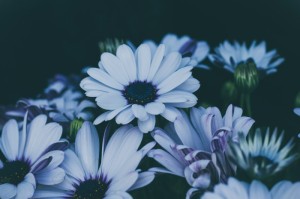 [分析]“花花生活圈真的有挂吗”原来可以开挂