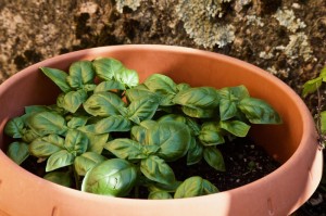 【南京疫情何时见底,南京疫情何时见底啊】