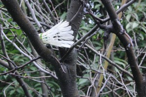 ［最新攻略］“人民棋牌究竟有挂吗”!(太坑了原来有挂)