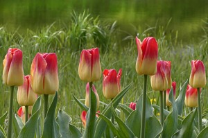 【2020年疫情是什么时候结束的/2020年疫情是什么时候结束的呢】