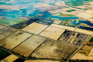 疫情什么时候解封2021年8月:疫情什么时候解封2021年8月份