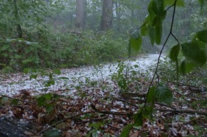 科普实测“熊猫互娱到底有没有透视挂吗”(确实有挂)-知乎