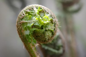 【武汉疫情结束是哪一天啊/武汉疫情结束是哪一天啊最新消息】