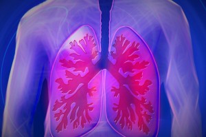 重大发现“至尊宝牛/牛怎么开挂”!(必胜开挂神器)