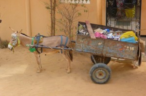 [实测]“三公斗牛有没有挂”(确实真的有挂)