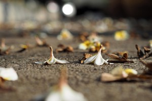 推荐一款“决战十三水到底有透视挂吗”(真的有挂)-知乎