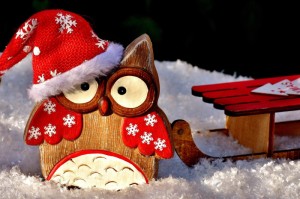 [分享]“新皇豪互娱有没有挂”开挂详细教程