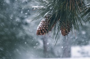 [分享]“红龙poker有没有挂”(确实真的有挂)