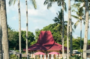 ［攻略科普］“阳光巴厘岛可以开挂吗”［必胜开挂神器］