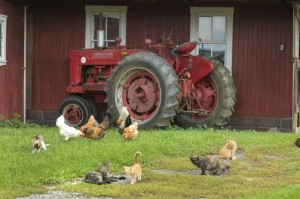 [推荐]“朱雀开心罗松有挂吗”(原来确实是有挂)