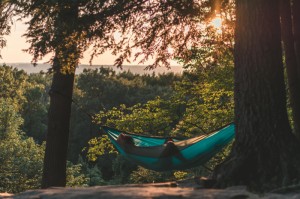 [分析]“阳光巴厘岛可以开挂吗”有挂详细开挂教程