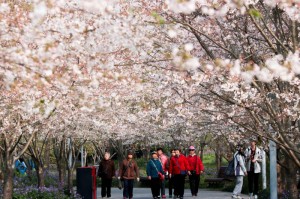 瑞丽疫情几号开始的（瑞丽疫情几号开始的啊）
