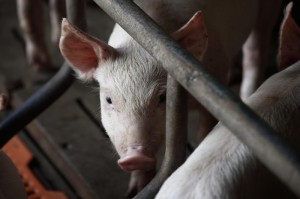 实测分享“永州跑胡子有挂没”详细教程