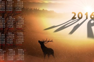 我来教教您“旺旺冲击麻将是不是有挂”!(透视曝光猫腻)