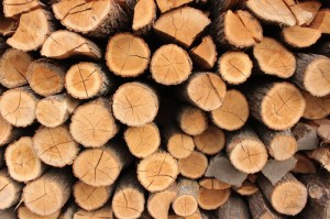 推荐一款“毛豆互娱透视辅助软件”(其实有挂)