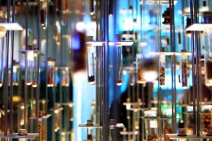 [分享]“新火神到底有没有挂”(原来确实是有挂)